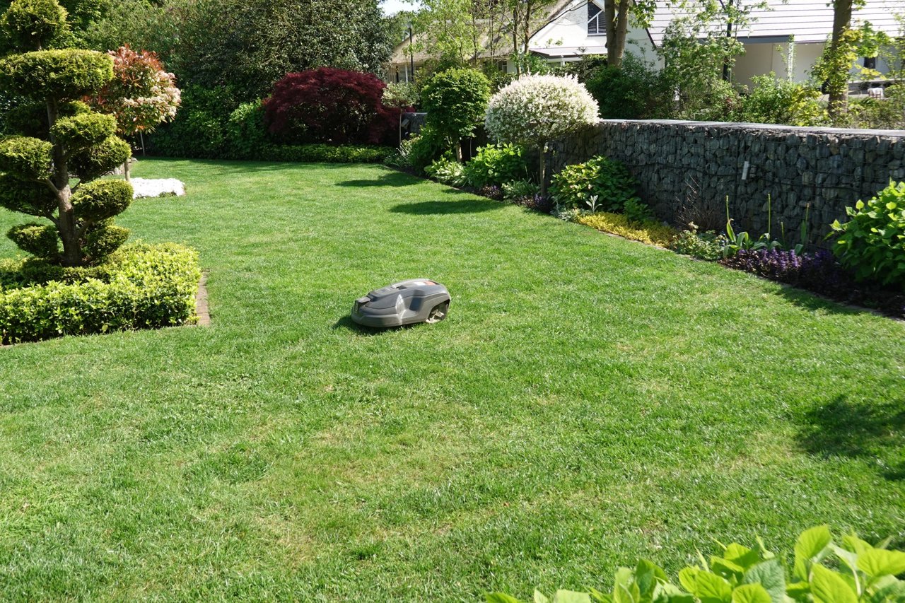 Groene tuin met gazon